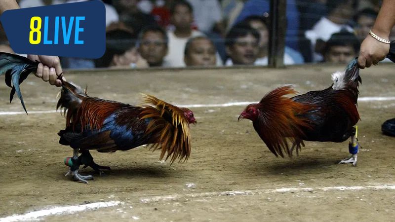 Công Nghệ Hiện Đại Trong Truyền Thông